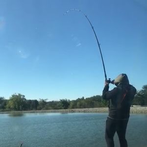 Meet your Posher, Peter